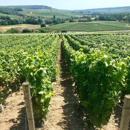 La Bulle De Champagne Lägenhet Épernay Exteriör bild