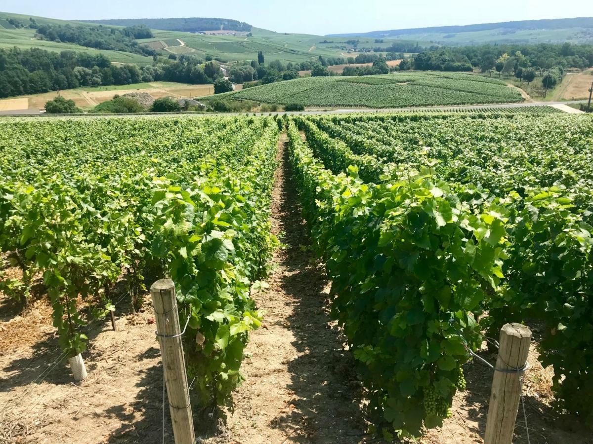 La Bulle De Champagne Lägenhet Épernay Exteriör bild